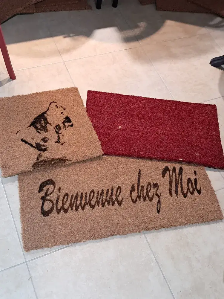 CONDITIONNEMENT DE TAPIS
