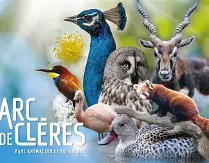 PARC DE CLERES SORTIE ADHERENTS  9 OCTOBRE