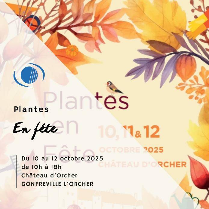 planteenfete